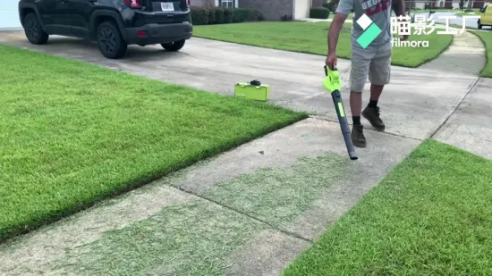 Lightweight 20V Battery Powered Cordless Blower Electric Leaf Blower for Blowing Leaves, Snow, Debris and Dust
